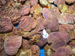 -拉完海鲜大排档(温岭店)