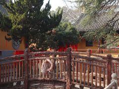 -灵岩山风景区