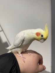 -Zoolung Zoolung动物主题公园(海信广场店)