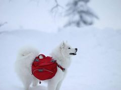-海底捞火锅(海悦天地店)