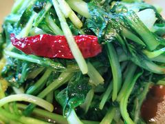 炝炒鸡毛菜-日上三甘(三里屯店)