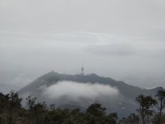 -梧桐山风景名胜区