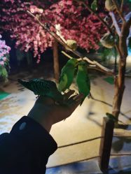 -酷嗒动物文化乐园(cutezoo西溪乐天城店)