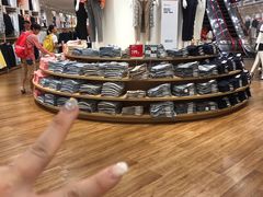 -VT101维多利广场
