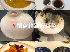 -鲐赏河豚(长寿店)