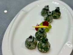 -丁老爷子苏香圆
