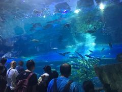 -华夏文旅海洋公园