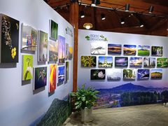 -上海佘山国家森林公园西佘山园