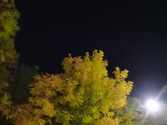 -回龙观体育文化公园
