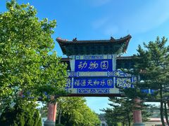 -西霞口神雕山野生动物世界