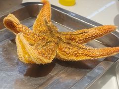 -众想海鲜·烧烤·海肠捞饭·渔家菜(孙家疃店)