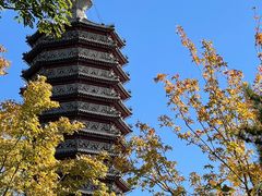 -西海子公园