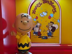 -九木杂物社(中心店)