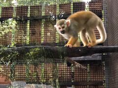 -清迈夜间动物园