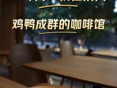 -春风习习