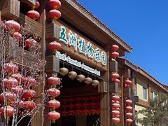 -南宫五洲植物乐园