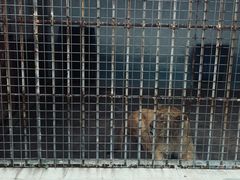 -如皋市龙游湖欢乐世界