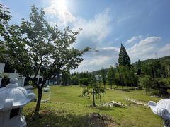 -东方艺术博物馆