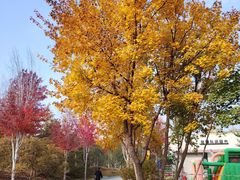 -回龙观体育文化公园