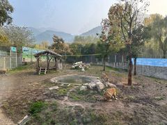-西安秦岭野生动物园