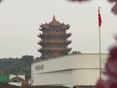 -老宅藕香·湖北菜·非遗藕汤·武昌鱼(黄鹤楼景观店)