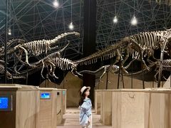 -世界恐龙谷景区