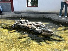-红螺寺