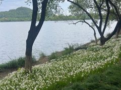 -湘湖旅游度假区-湘湖渔村停车场