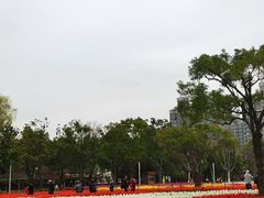 -大宁公园