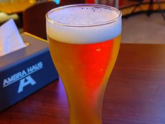 -Ambra Haus琥珀屋精酿餐厅(宝山店)