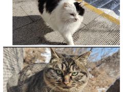 -慕田峪长城