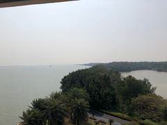 -大湾区中央湿地公园