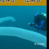 它看上去就像是一个巨大的圆筒，健身还泛着粉色和蓝色的光