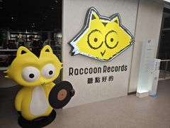 -浣熊唱片店(上海影城店)