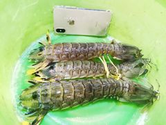 -真浪花园海鲜餐馆