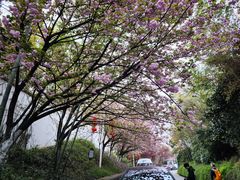 -求雨山文化公园