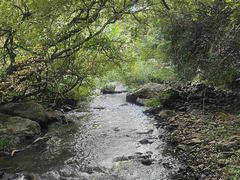 -广州市石门国家森林公园