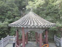 -靖西鹅泉风景区