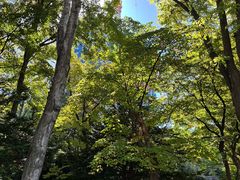 -北海道厅旧本厅舍(旧本庁舎)