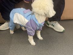 -半岛宠物医院24小时(科华中路店)