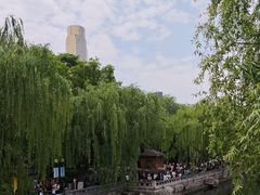 -教师之家赵家羊汤馆(东青龙街店)