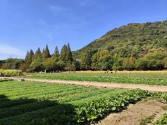 -八卦田遗址公园