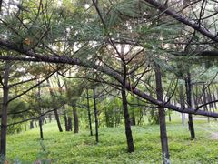 -森林公园(尖草坪区)