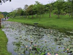 -东莞植物园