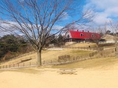 -神户市立六甲山牧场