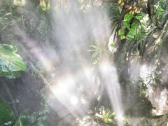 -青青世界