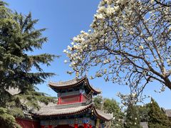 -西安市广仁寺