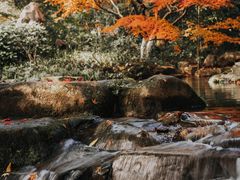 -中国茶叶博物馆(双峰馆区)
