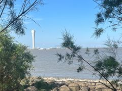 -上海吴淞炮台湾国家湿地公园
