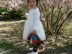 -长春公园(普阳街道)